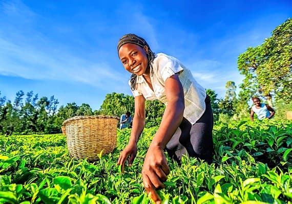 Parrainage de projets agro-pastoraux ou artisanaux d'entrepreneuriat jeune