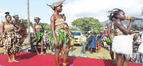 Participating in and supporting the development of the Festival of Arts and Culture (FESTAC)