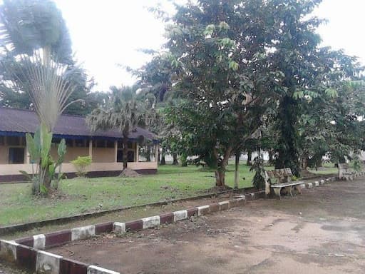 Rehabilitation and equipment of schools in Kumba