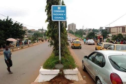 Contributions aux campagnes de reboisement urbain à Yaoundé